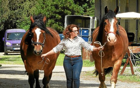 Morgane Perlande, aux côtés de Circus et Dispar, les deux chevaux territoriaux du Haras d’Hennebont, en 2022.
